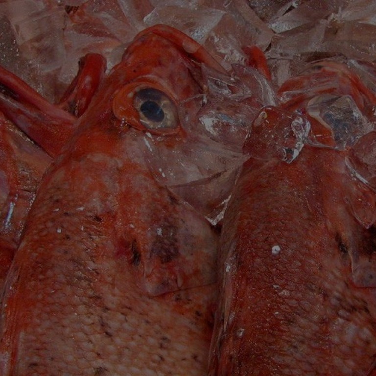 Mark Fox Fresh Grimsby Fish