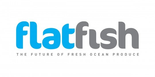Flatfish Ltd